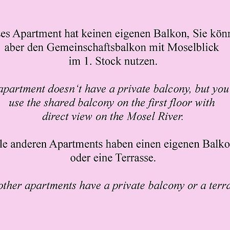 Weingut Im Moselkrampen Apartment Ellenz-Poltersdorf Luaran gambar