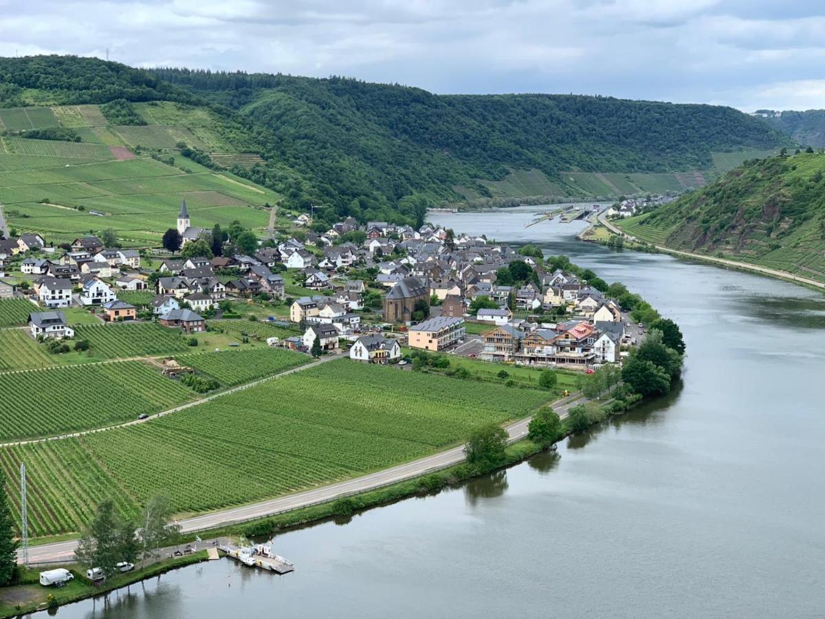 Weingut Im Moselkrampen Apartment Ellenz-Poltersdorf Luaran gambar