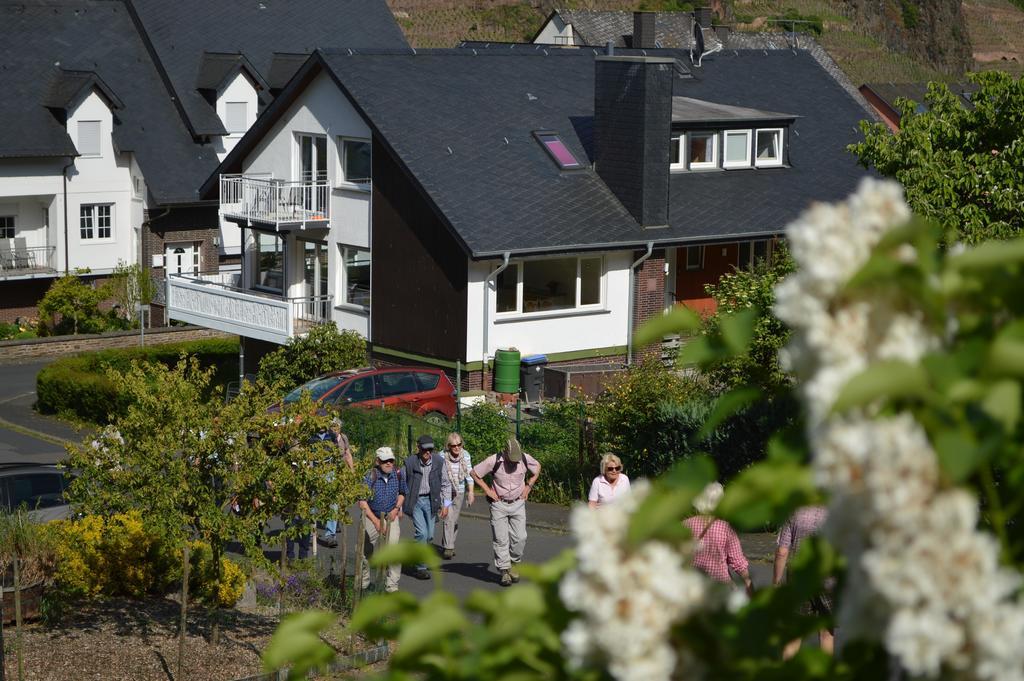 Weingut Im Moselkrampen Apartment Ellenz-Poltersdorf Luaran gambar